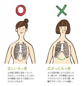 ろっ骨ベルト