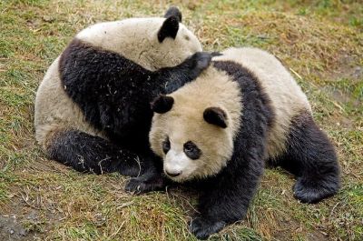 上の動物公園