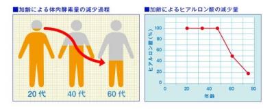 大人の生酵素