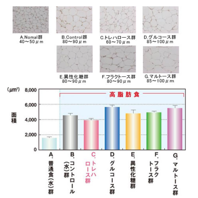 林原生物化学研究所